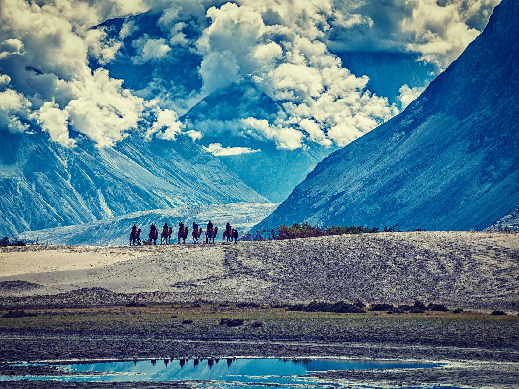 Foreign tourists riding camels in Nubra valley of Ladakh